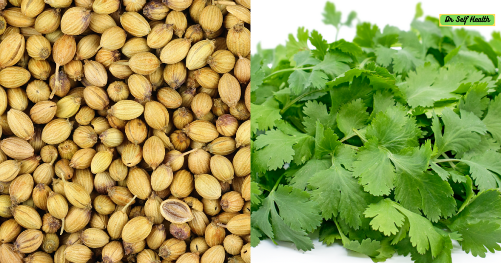 Coriander 