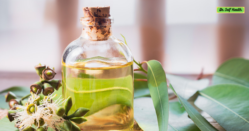 Eucalyptus Oil 