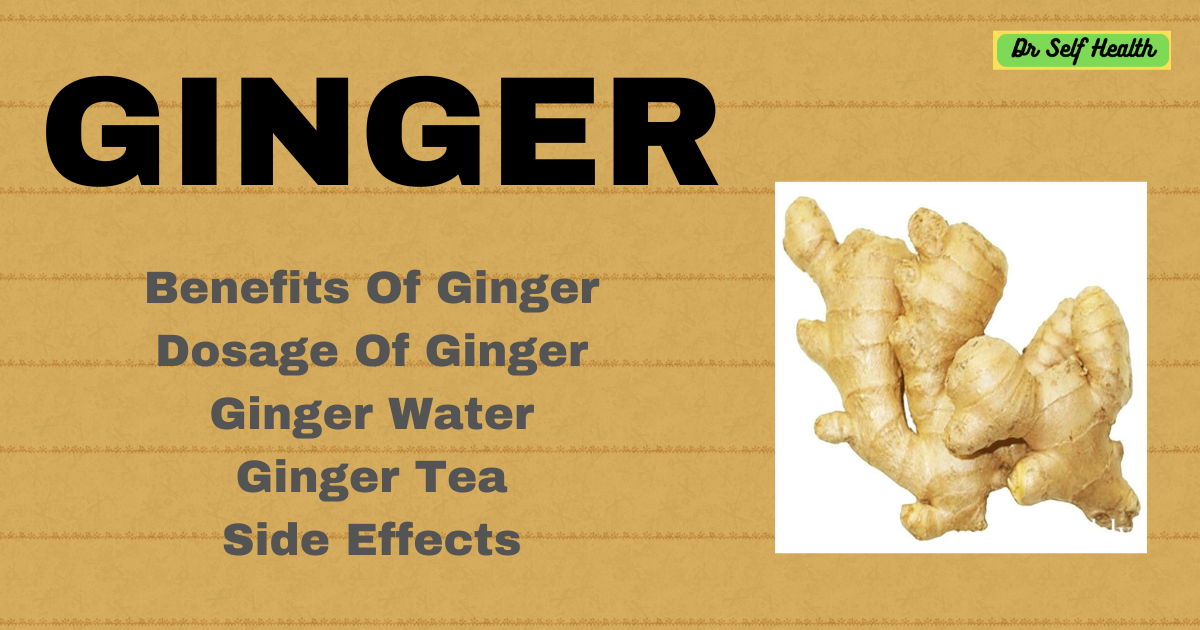 Ginger