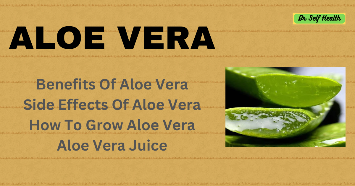 Aloe vera