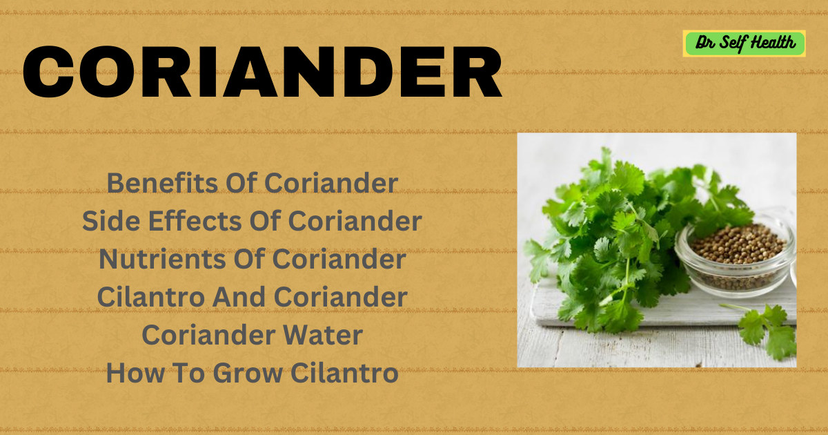 Coriander