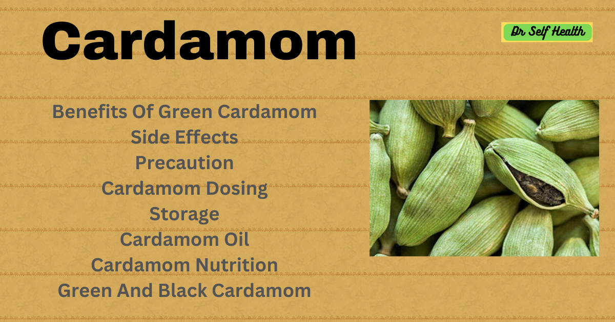 Cardamom